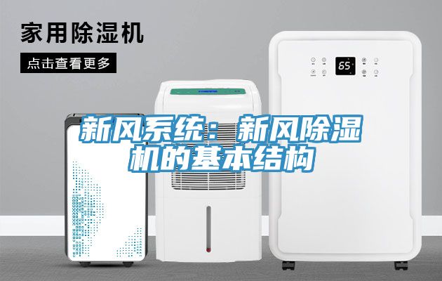 新風係統：新風91看片网站的基本結構