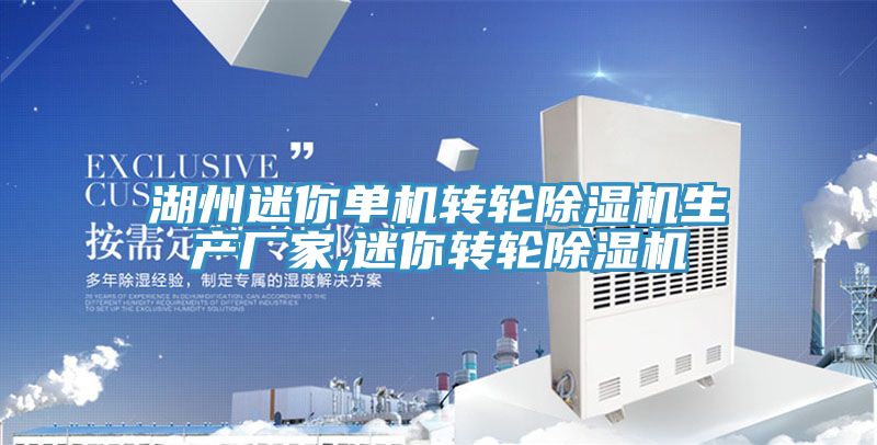 湖州迷你單機轉輪91看片网站生產廠家,迷你轉輪91看片网站