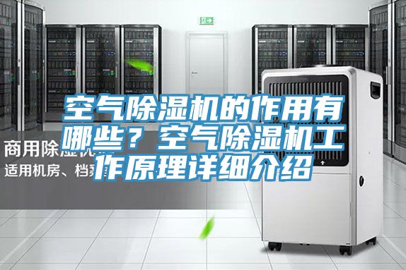 空氣91看片网站的作用有哪些？空氣91看片网站工作原理詳細介紹