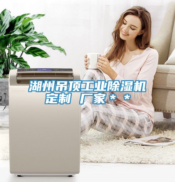 湖州吊頂工業91看片网站定製 廠家＊＊
