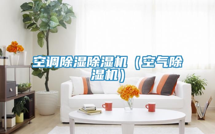 空調除濕91看片网站（空氣91看片网站）