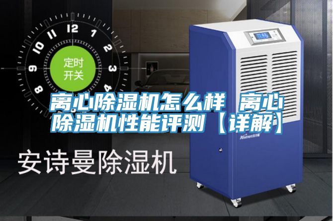 離心91看片网站怎麽樣 離心91看片网站性能評測【詳解】