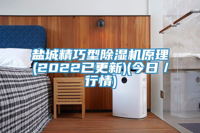 鹽城精巧型91看片网站原理(2022已更新)(今日／行情)