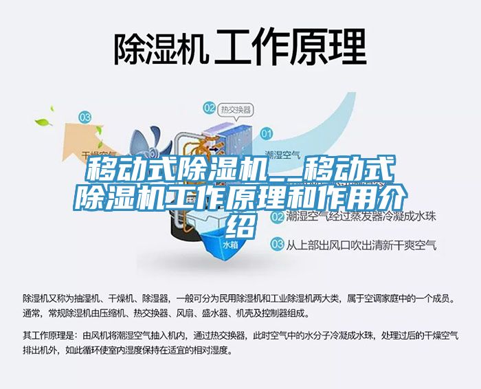 移動式91看片网站__移動式91看片网站工作原理和作用介紹