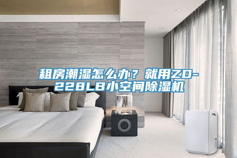 租房潮濕怎麽辦？就用ZD-228LB小空間91看片网站