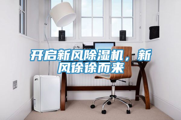 開啟新風91看片网站，新風徐徐而來