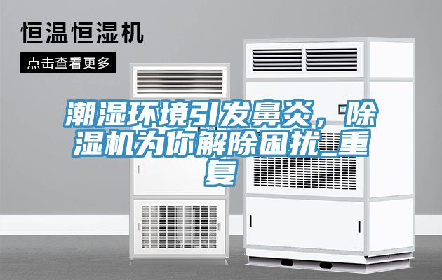 潮濕環境引發鼻炎，91看片网站為你解除困擾_重複