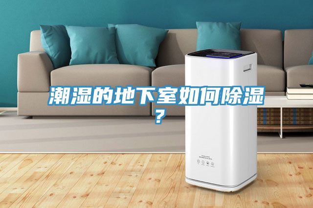 潮濕的地下室如何除濕？