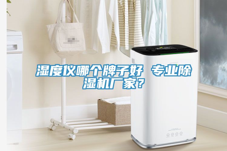 濕度儀哪個牌子好 專業91看片网站廠家？