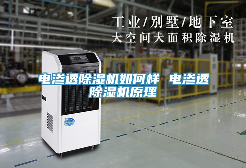 電滲透91看片网站如何樣 電滲透91看片网站原理