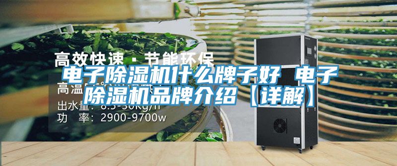 電子91看片网站什麽牌子好 電子91看片网站品牌介紹【詳解】