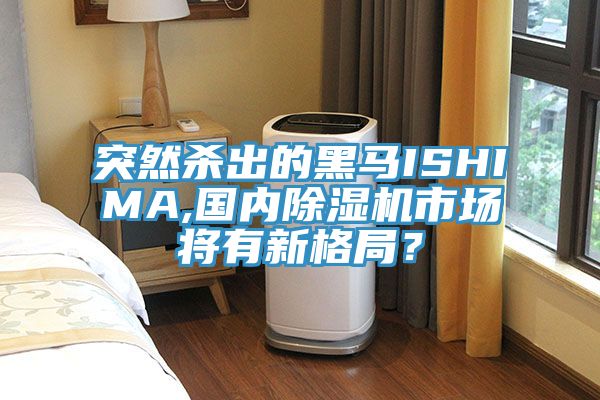 突然殺出的黑馬ISHIMA,國內91看片网站市場將有新格局？