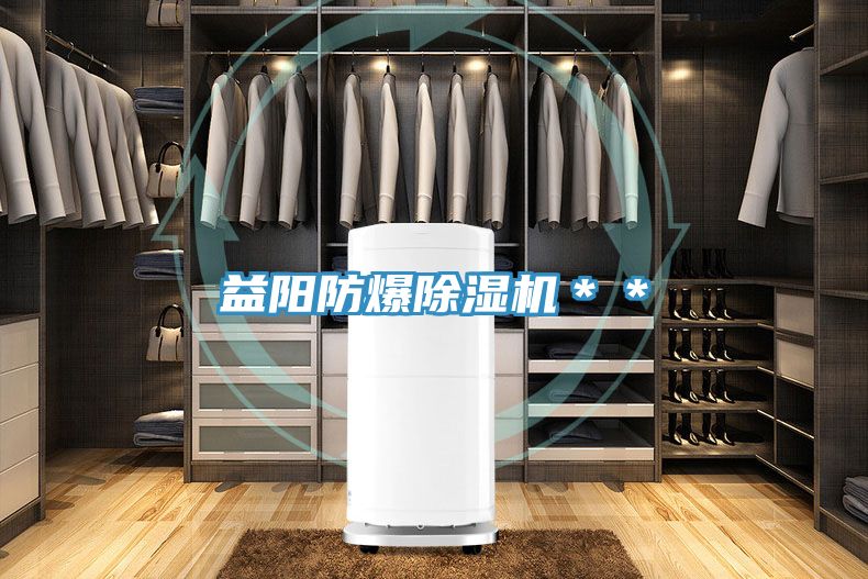 益陽防爆91看片网站＊＊