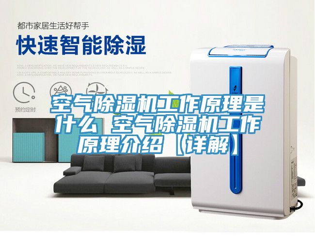 空氣91看片网站工作原理是什麽 空氣91看片网站工作原理介紹【詳解】