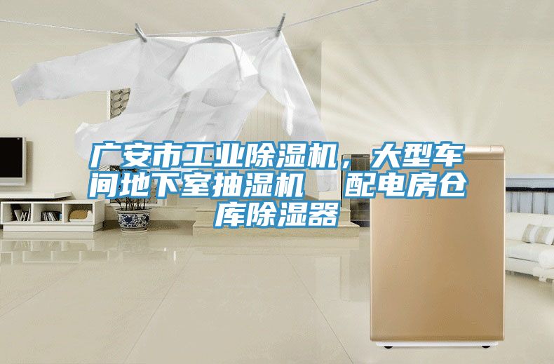 廣安市工業91看片网站，大型車間地下室抽濕機  配電房倉庫除濕器