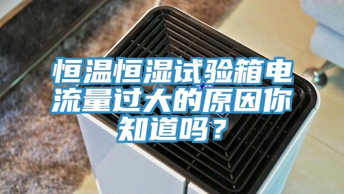 恒溫恒濕試驗箱電流量過大的原因你知道嗎？