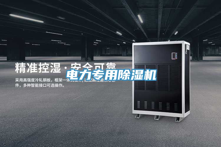 電力專用91看片网站