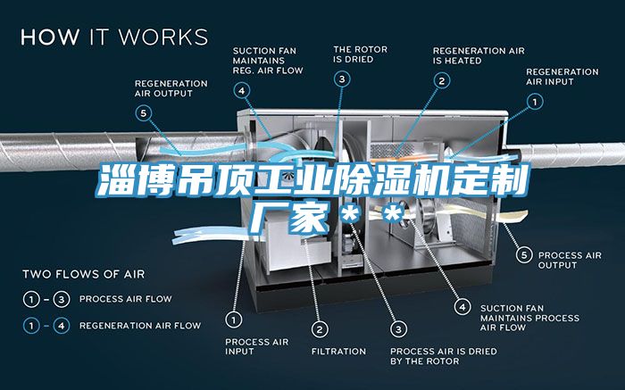 淄博吊頂工業91看片网站定製 廠家＊＊