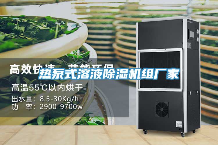 熱泵式溶液91看片网站組廠家