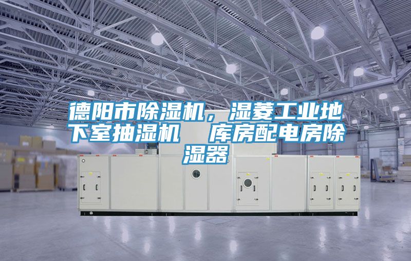 德陽市91看片网站，濕菱工業地下室抽濕機  庫房配電房除濕器