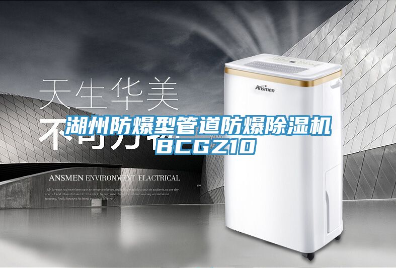 湖州防爆型管道防爆91看片网站 BCGZ10