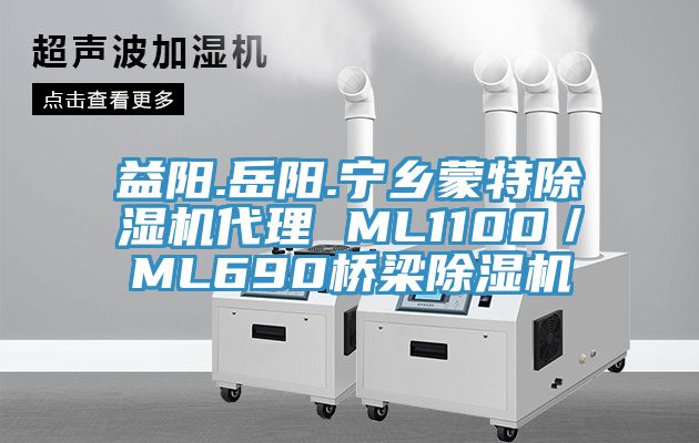 益陽.嶽陽.寧鄉蒙特91看片网站代理 ML1100／ML690橋梁91看片网站