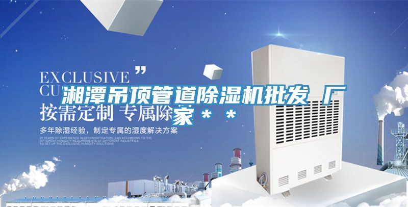 湘潭吊頂管道91看片网站批發 廠家＊＊
