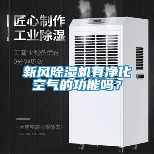 新風91看片网站有淨化空氣的功能嗎？