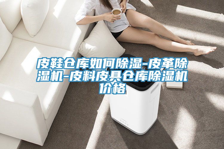 皮鞋倉庫如何除濕-皮革91看片网站-皮料皮具倉庫91看片网站價格