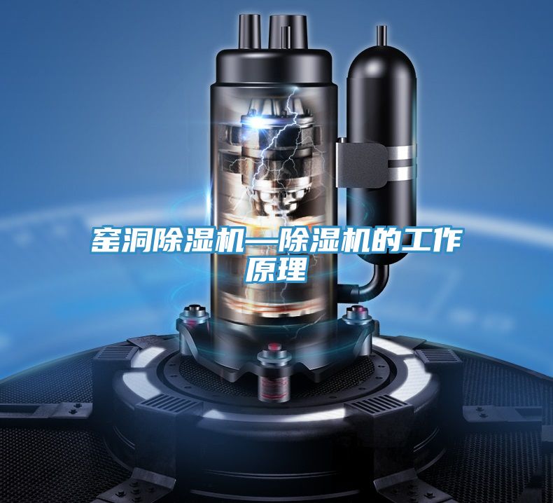 窯洞91看片网站—91看片网站的工作原理