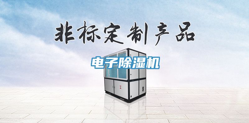 電子91看片网站
