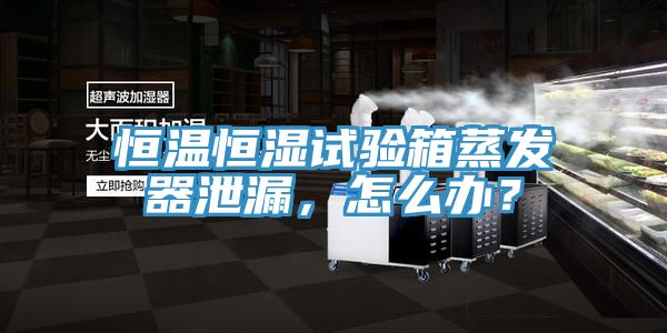 恒溫恒濕試驗箱蒸發器泄漏，怎麽辦？