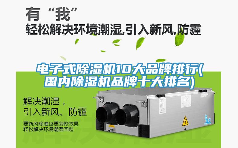 電子式91看片网站10大品牌排行(國內91看片网站品牌十大排名)