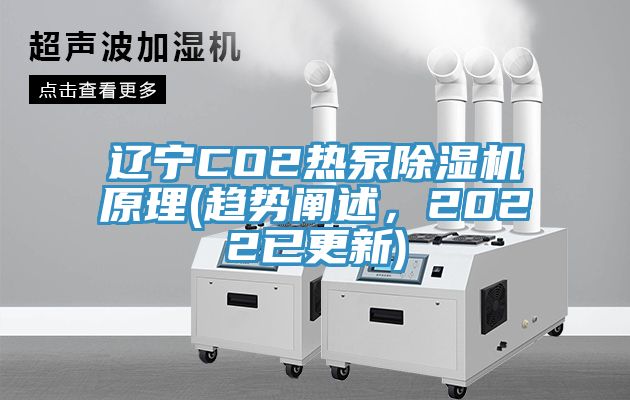 遼寧CO2熱泵91看片网站原理(趨勢闡述，2022已更新)