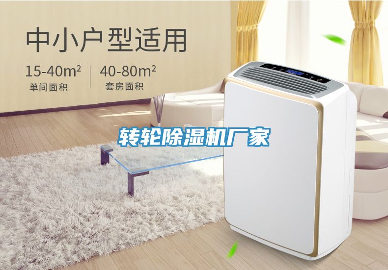 轉輪91看片网站廠家