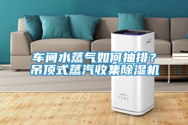 車間水蒸氣如何抽排？吊頂式蒸汽收集91看片网站