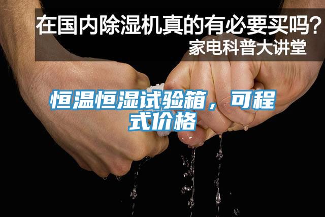 恒溫恒濕試驗箱，可程式價格