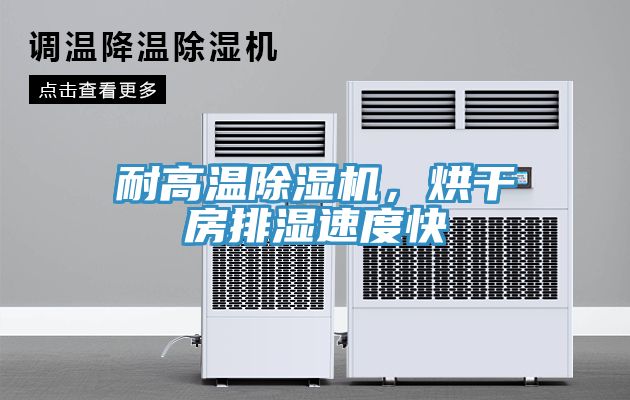 耐高溫91看片网站，烘幹房排濕速度快