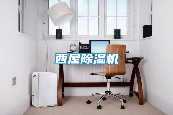 西屋91看片网站
