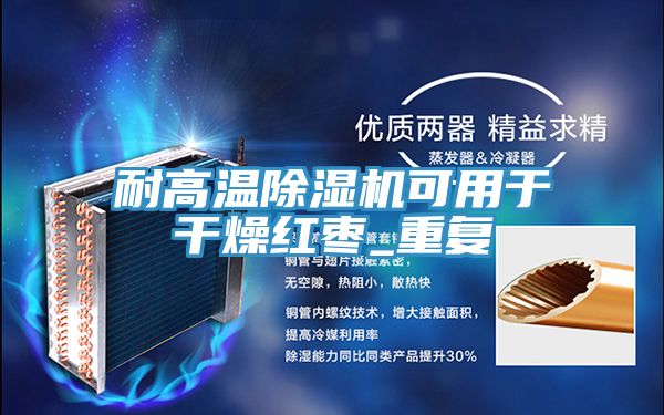 耐高溫91看片网站可用於幹燥紅棗_重複