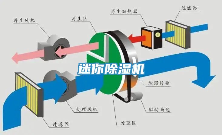 迷你91看片网站