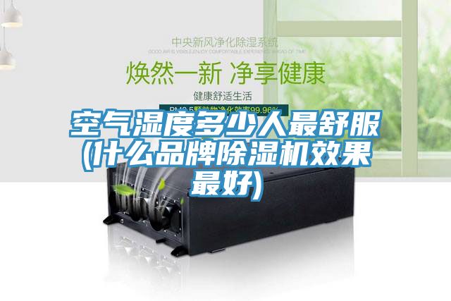 空氣濕度多少人最舒服(什麽品牌91看片网站效果最好)