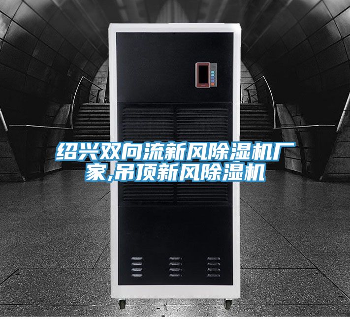 紹興雙向流新風91看片网站廠家,吊頂新風91看片网站