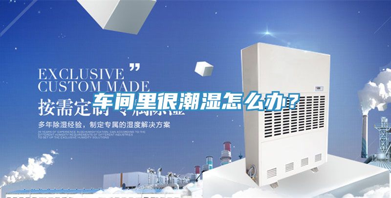車間裏很潮濕怎麽辦？
