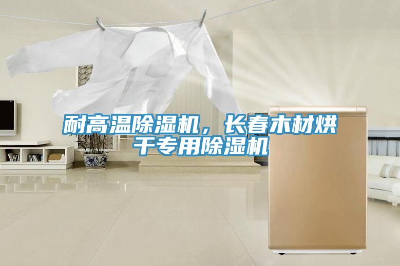 耐高溫91看片网站，長春木材烘幹專用91看片网站