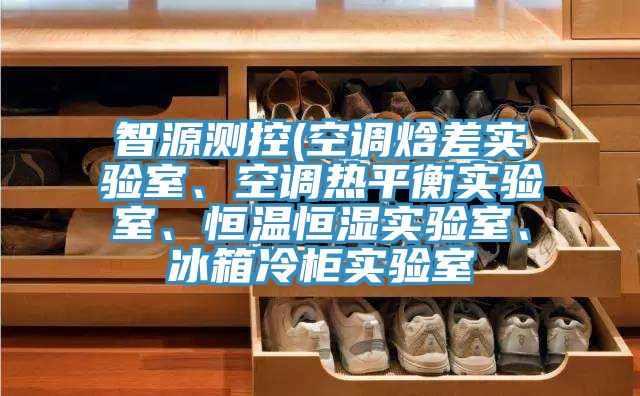 智源測控(空調焓差實驗室、空調熱平衡實驗室、恒溫恒濕實驗室、冰箱冷櫃實驗室