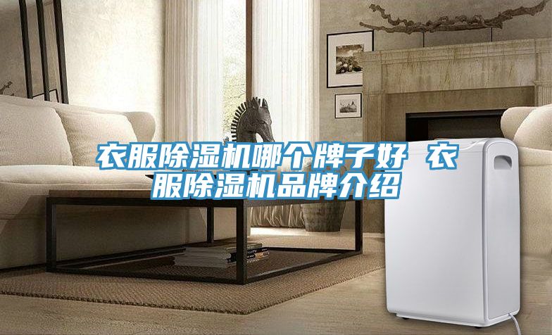 衣服91看片网站哪個牌子好 衣服91看片网站品牌介紹