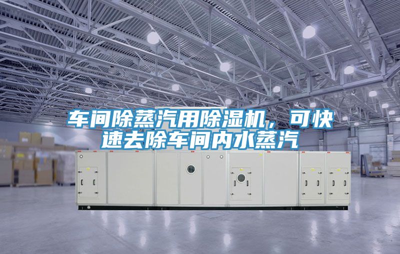 車間除蒸汽用91看片网站，可快速去除車間內水蒸汽