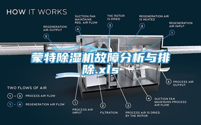 蒙特91看片网站故障分析與排除.xls