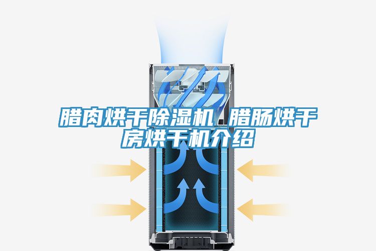 臘肉烘幹91看片网站 臘腸烘幹房烘幹機介紹
